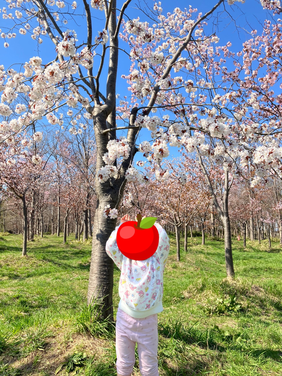 モエレ沼公園へ子連れで行った感想は おすすめスポットや持ち物を紹介 美容研究歴年以上のブログ