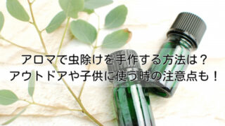 アロマで虫除けを手作する方法は？アウトドアや子供に使う時の注意点も紹介！