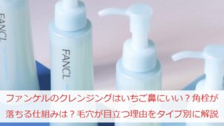 ファンケルのクレンジングはいちご鼻にいい？角栓が落ちる仕組みは？毛穴が目立つ理由をタイプ別に解説