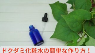 ドクダミ化粧水の簡単な作り方